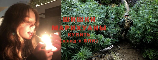 мяу мяу мука Абаза