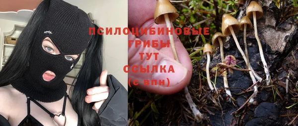 мяу мяу мука Абаза
