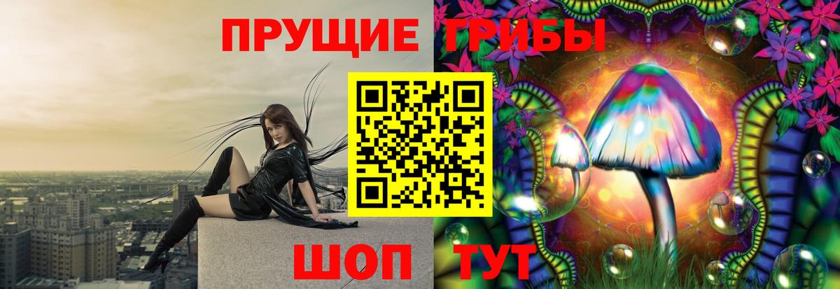 Владимир  Галлюциногенные грибы мухоморы  Галлюциногенные грибы мицелий  Вход с VPN 